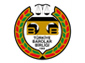 tbb